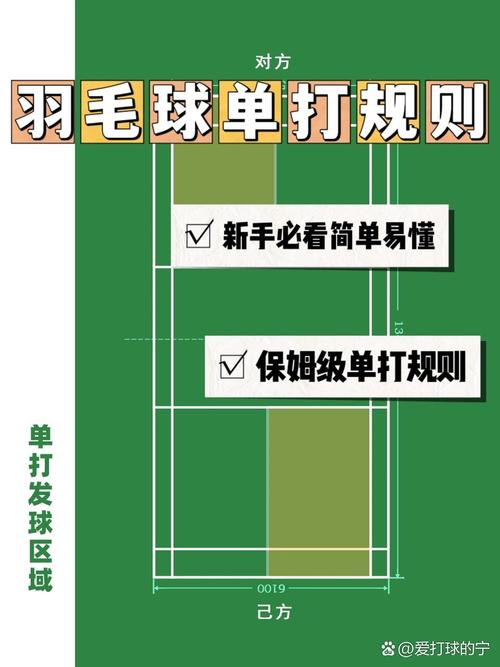 男子羽毛球单打决赛规则（羽毛球男子单打决赛赢了吗）