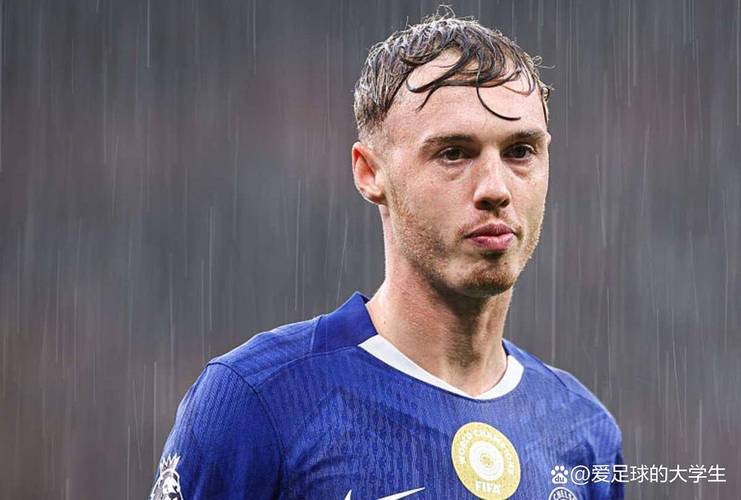 前蓝军高管：绝大多数业内人士都认为这次处罚对切尔西宽容且有利